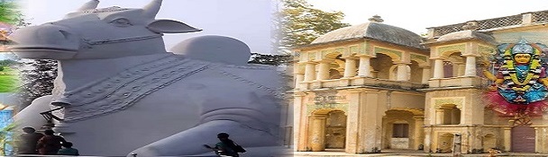 private_investigation_Parvathipuram Manyam
